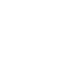 Chabad of Miami Logo